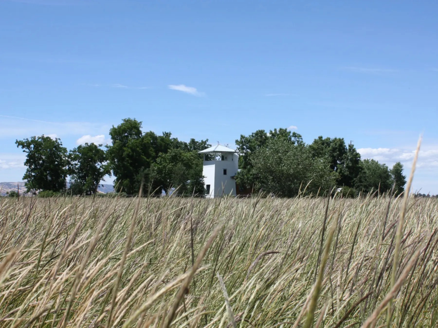 Butler Armsden Architects Yolo County Cabin