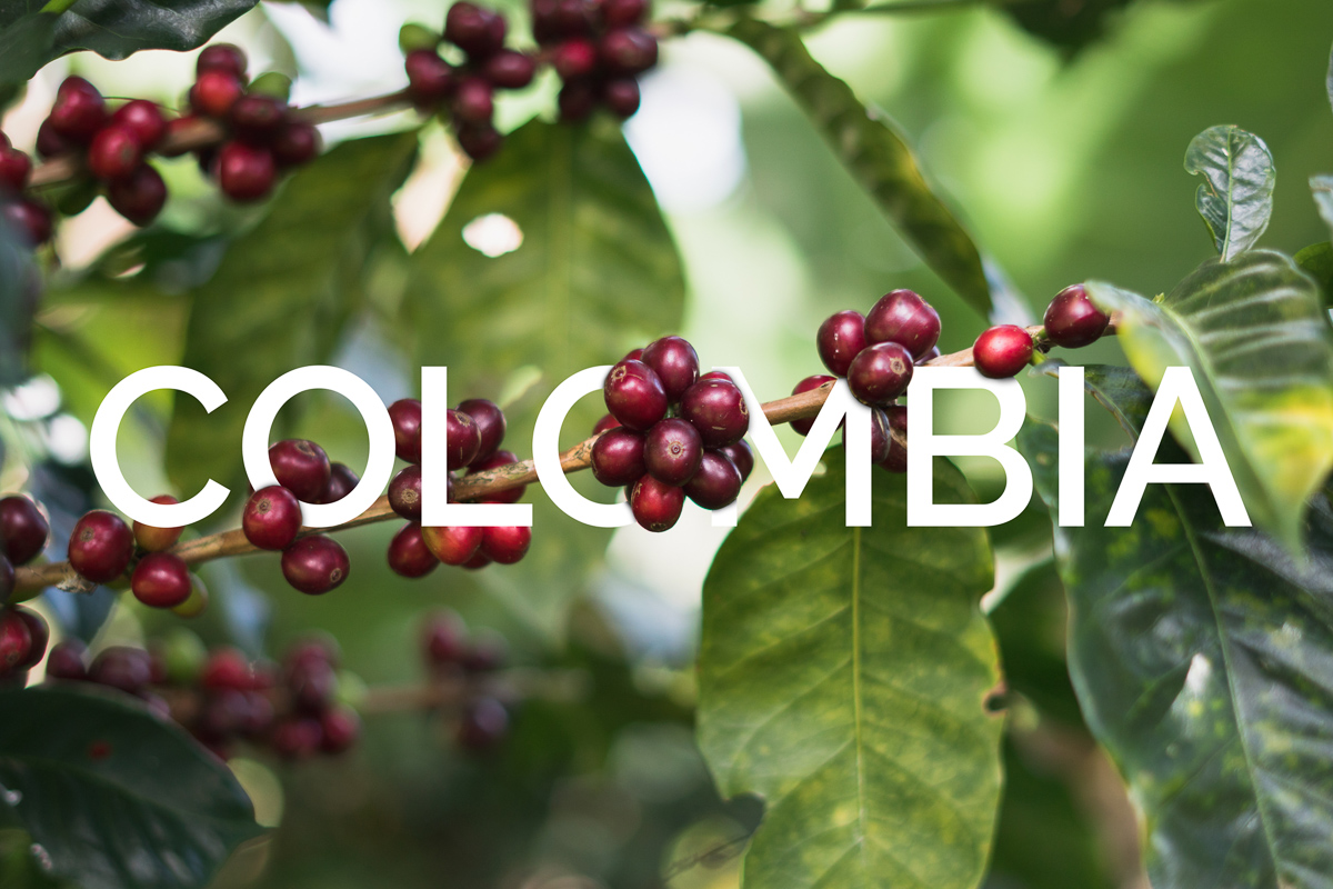 Cafe Imports Colombia