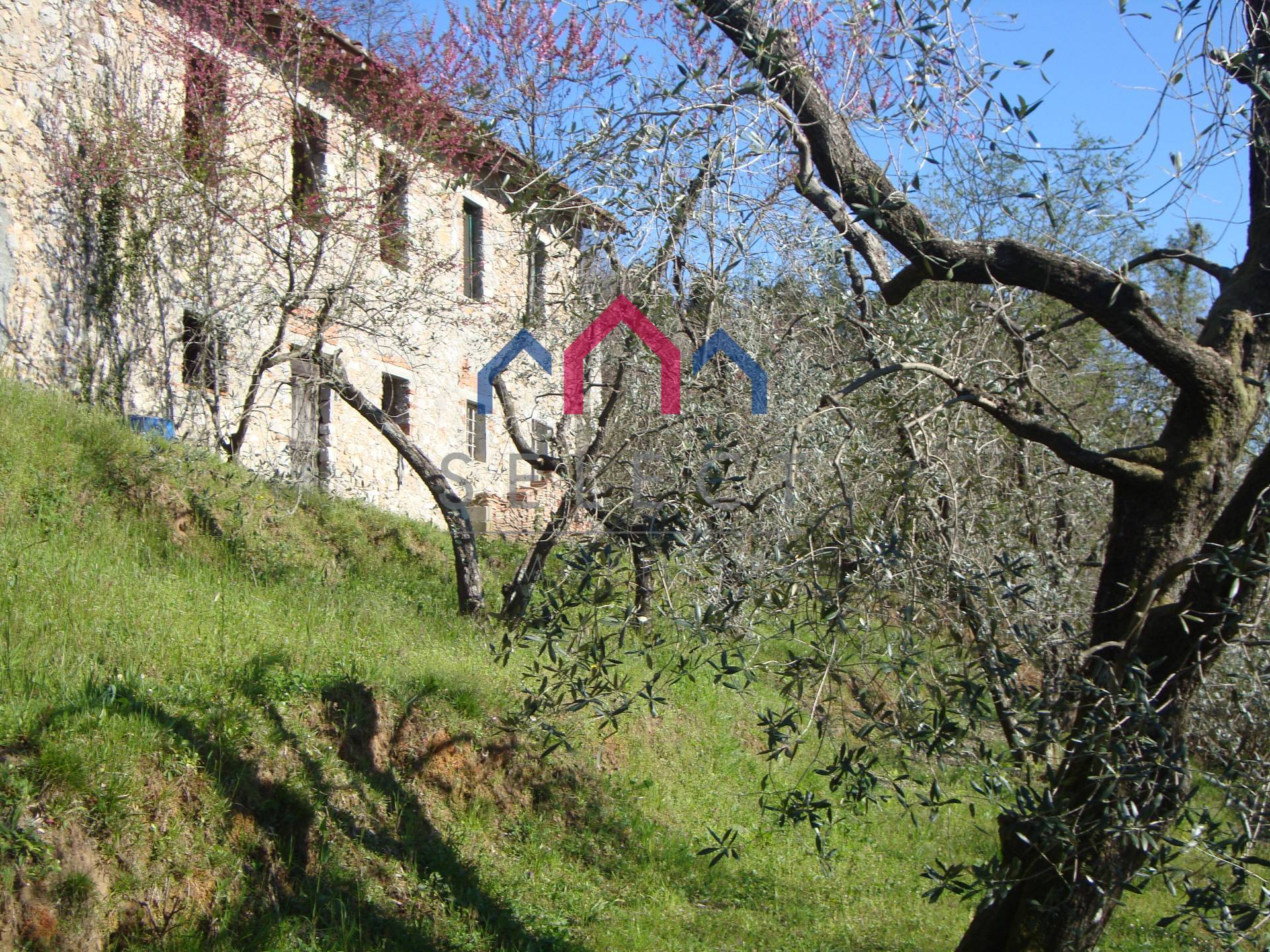Case E Appartamenti In Vendita A Borgo A Mozzano - Cambiocasa.it 1440_x_1920_jpg