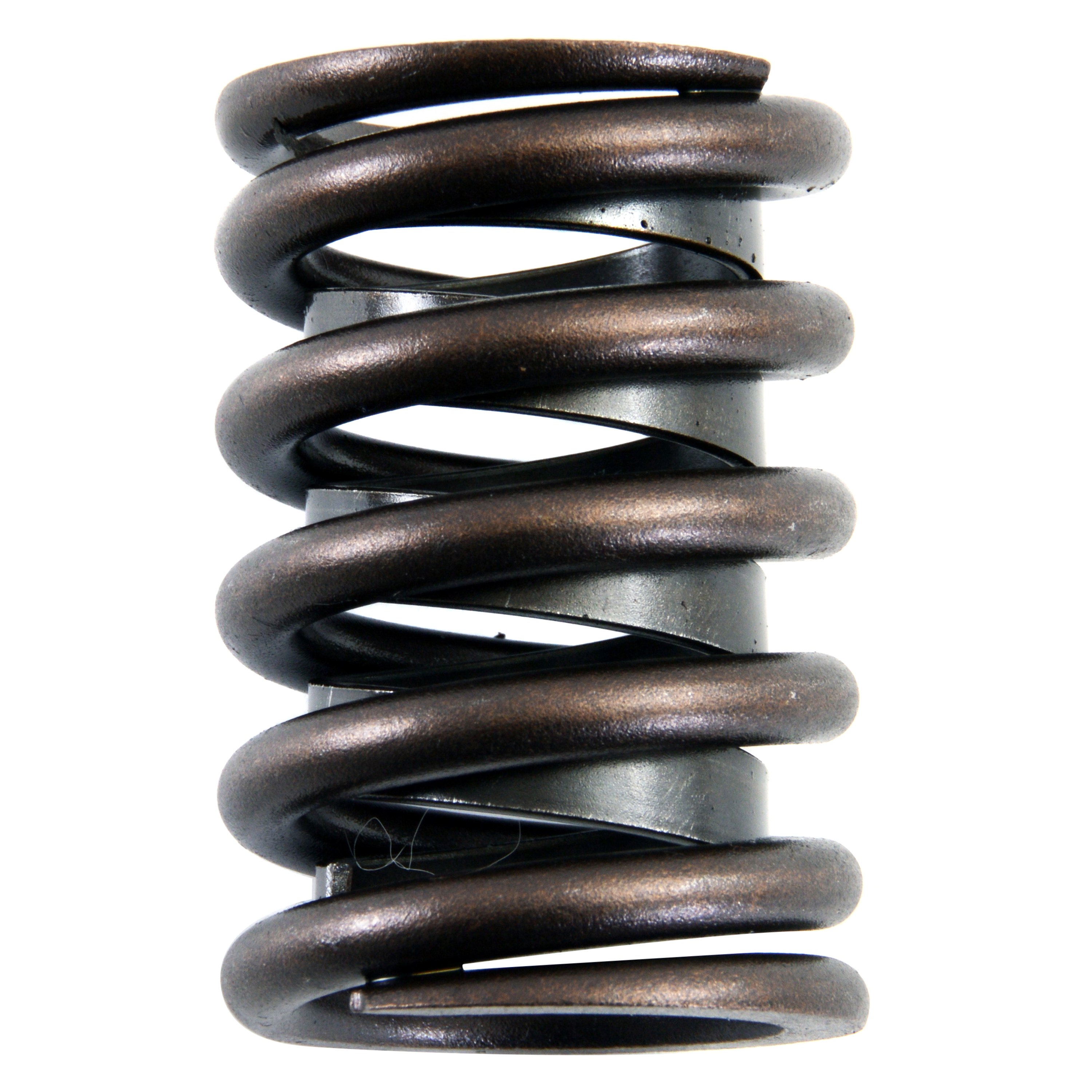 Ford Eseries 1992 Valve Springs