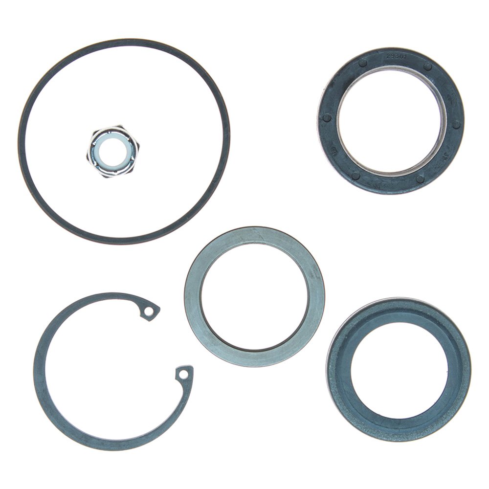 iD Select® Steering Gear Pitman Shaft Seal Kit