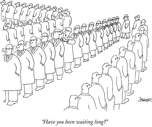 Staff Picks Cartoonstock