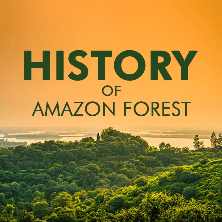 History Of Amazon Rainforest
