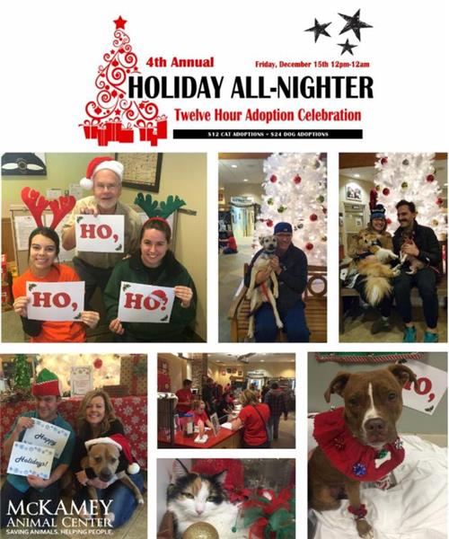 McKamey Animal Center To Hold 12Hour Adoption Event On Friday
