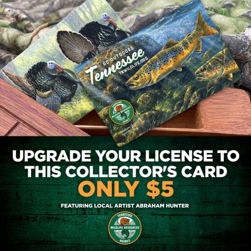 New Tennessee Hunting And Fishing Licenses Now On Sale
