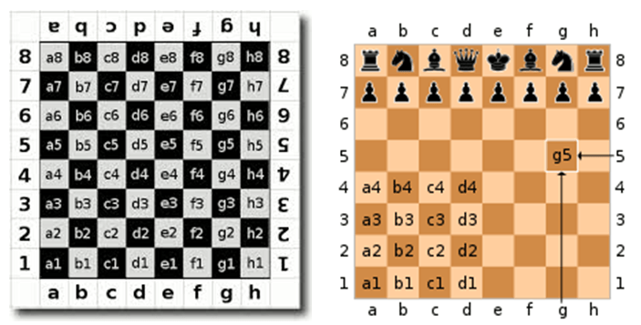 BASIC CHESS RULES CHESS FOR BEGINNERS
