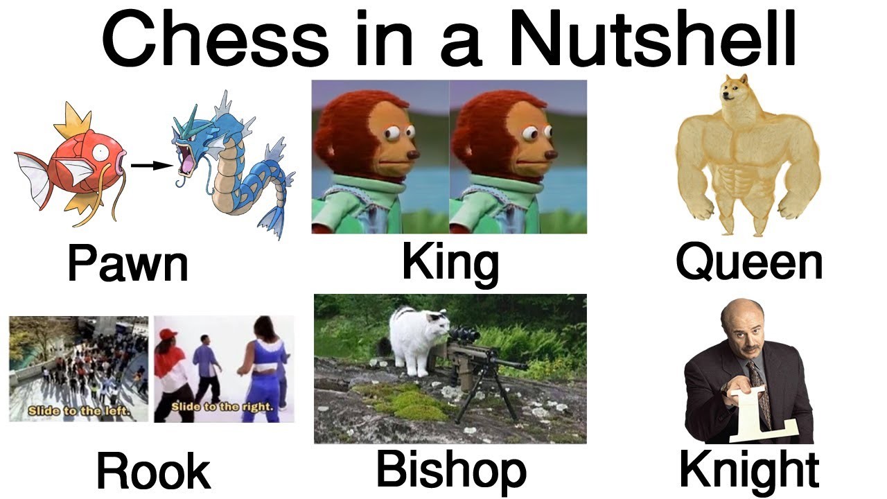 Best Chess Memes If You Are Bored ! Chess Forums