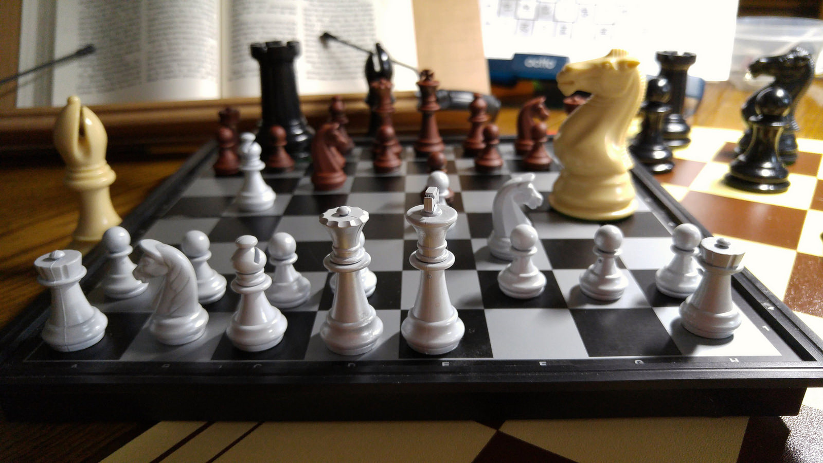 The Best Plastic Chess Set Ever The Windsor Castle Set