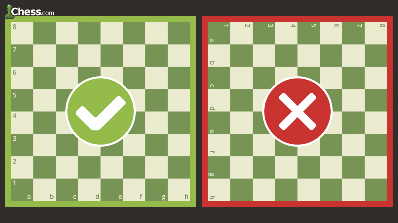 How To Set Up A Chessboard
