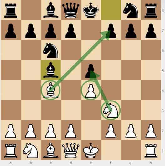 the most popular chess openings after 1. e4 e5