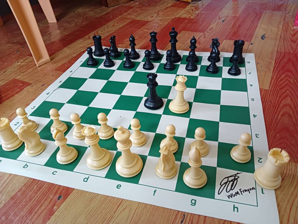 Triple Weighted Chess Set & Quadruple Weighted Chess Set Chess Forums