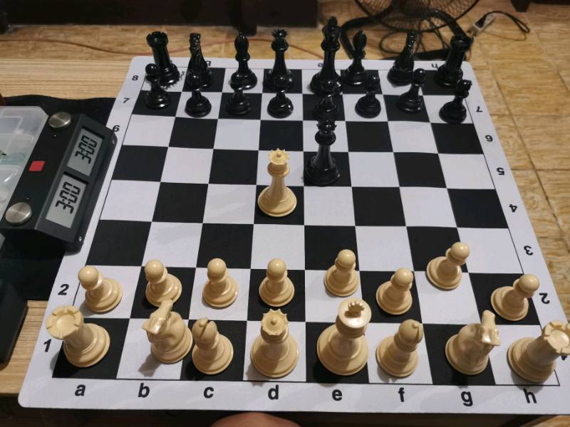 Triple Weighted Chess Set & Quadruple Weighted Chess Set Chess Forums