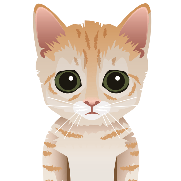 Cat Bots The Purrfect Way To Start The Year