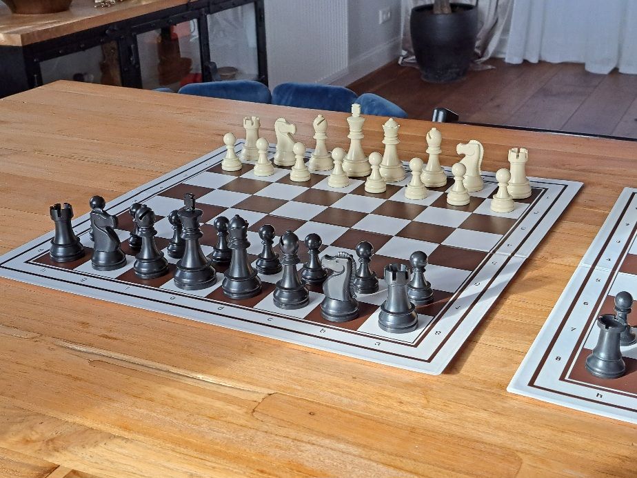 Comparison of the DGT Plastic Chess Pieces and the Standard Plastic