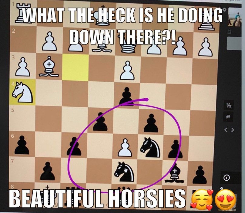 Best Chess Memes If You Are Bored ! Chess Forums