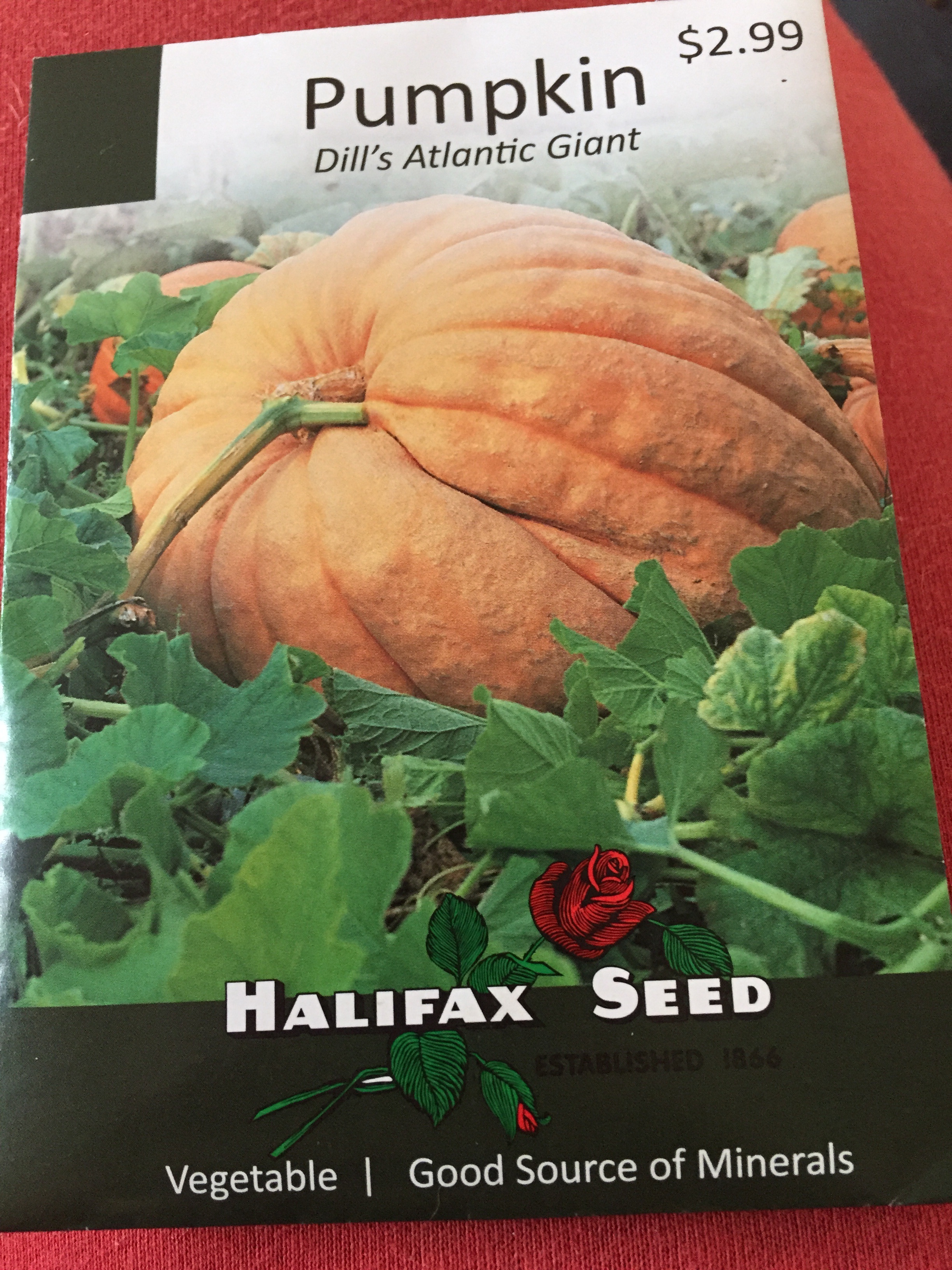 Halifax Seed Pumpkin Dill's Atlantic Giant reviews in Lawn, Garden