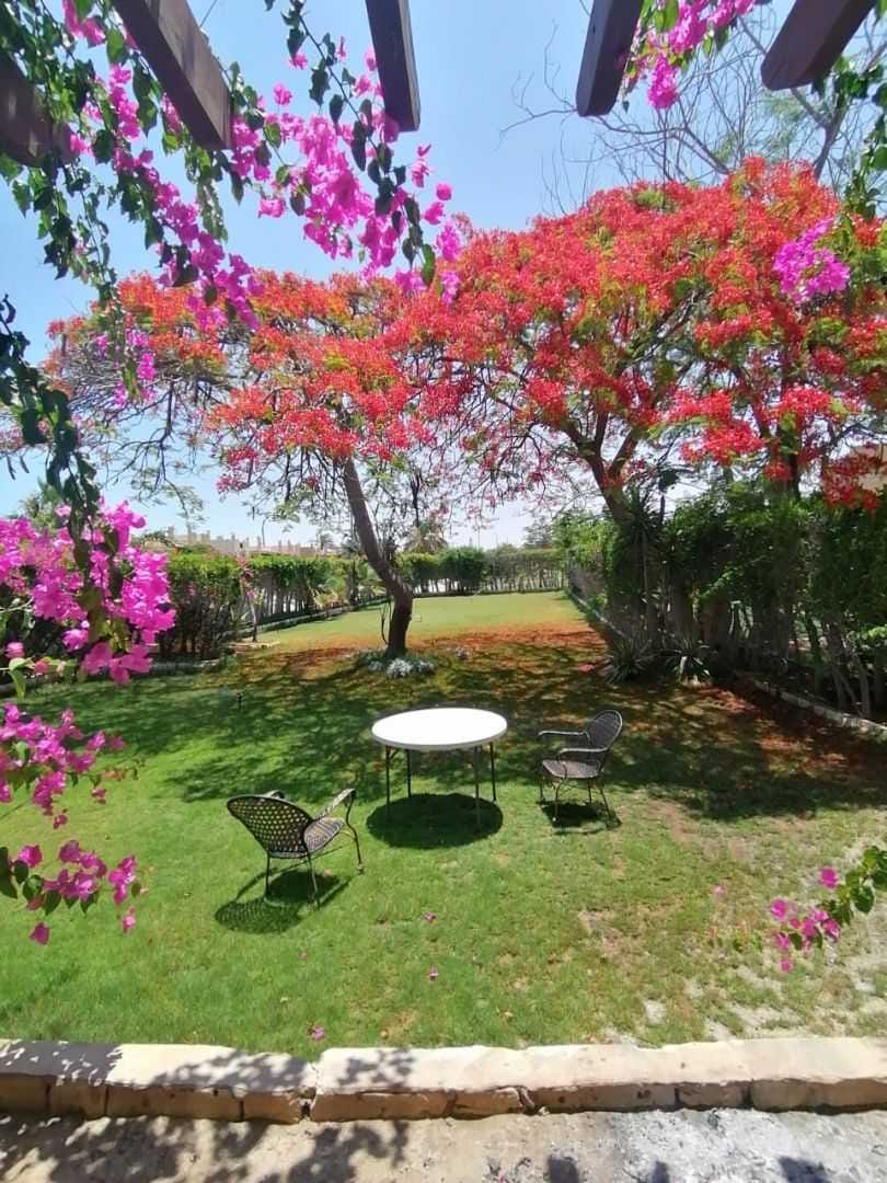 Claro RealEstate You Have The Right To Know Clearly