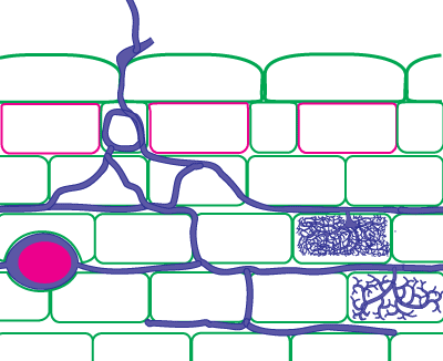 Clipart Panda - Free Clipart Images