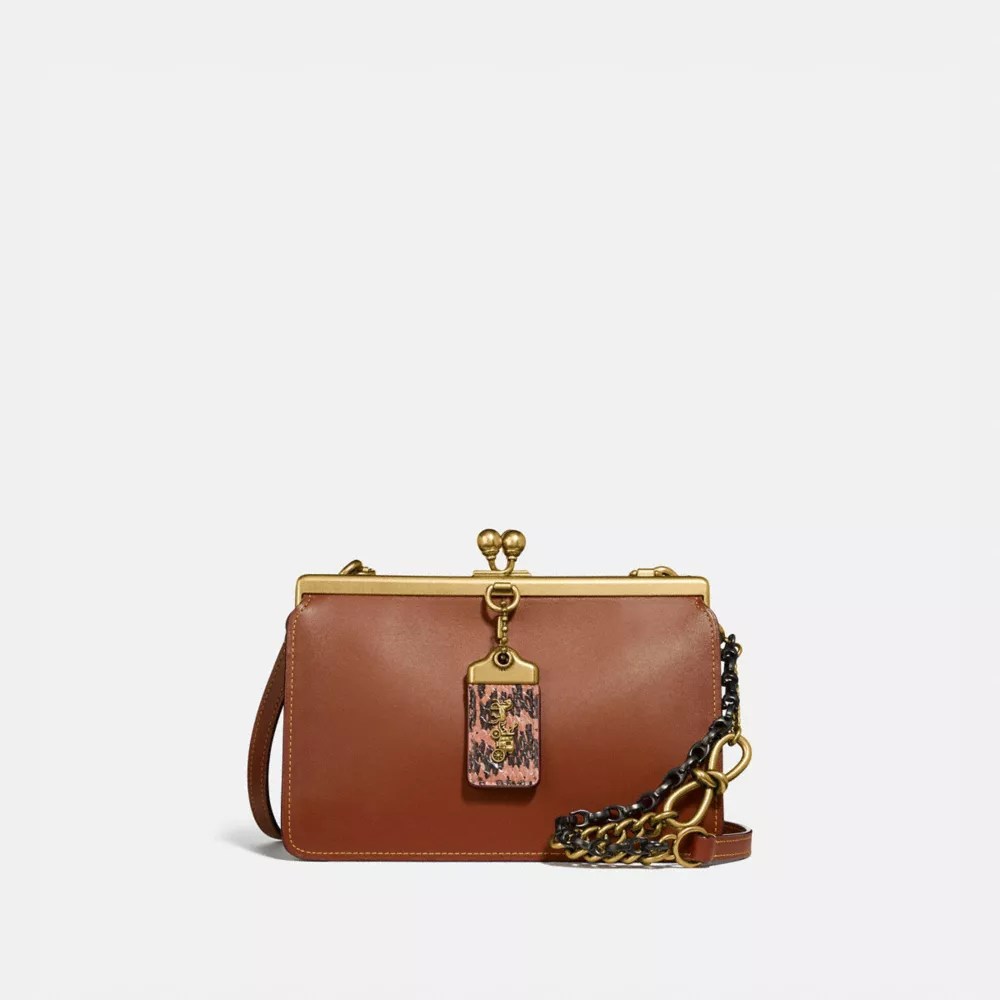 COACH® Double Frame Bag 19 With Snakeskin Detail