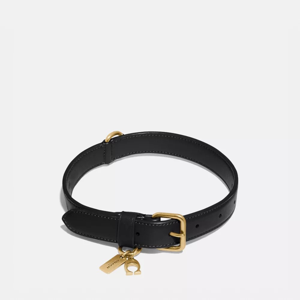 COACH® Medium/Large Pet Collar