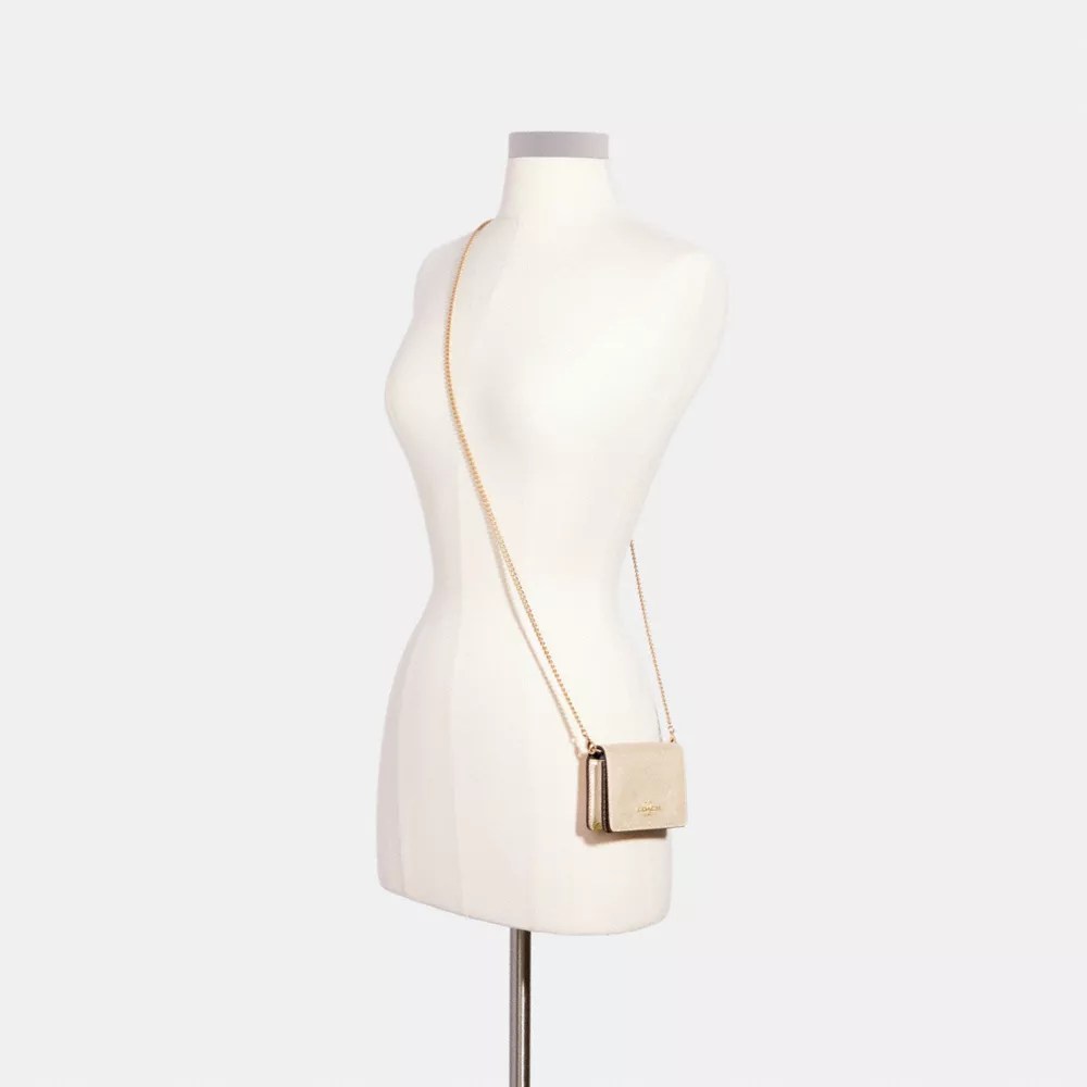 Coach Mini Wallet On A ChainInSignatureCanvasWithStripePrint 素敵な 素敵な