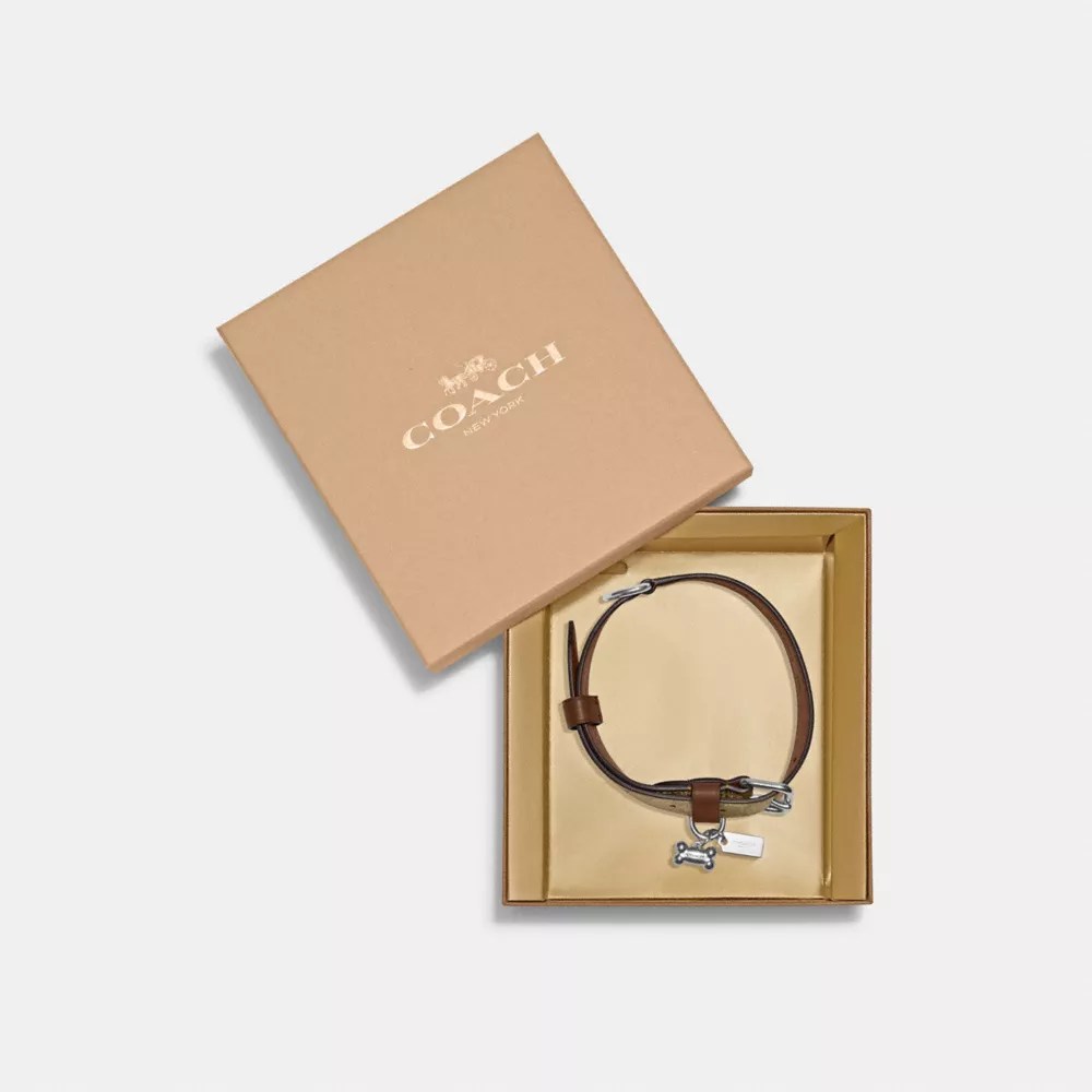 COACH® Boxed Large Pet Collar In Signature Canvas