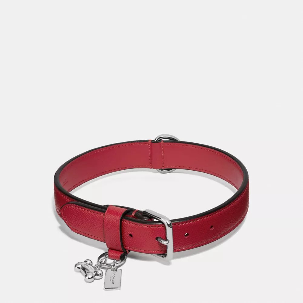 COACH® Large Pet Collar