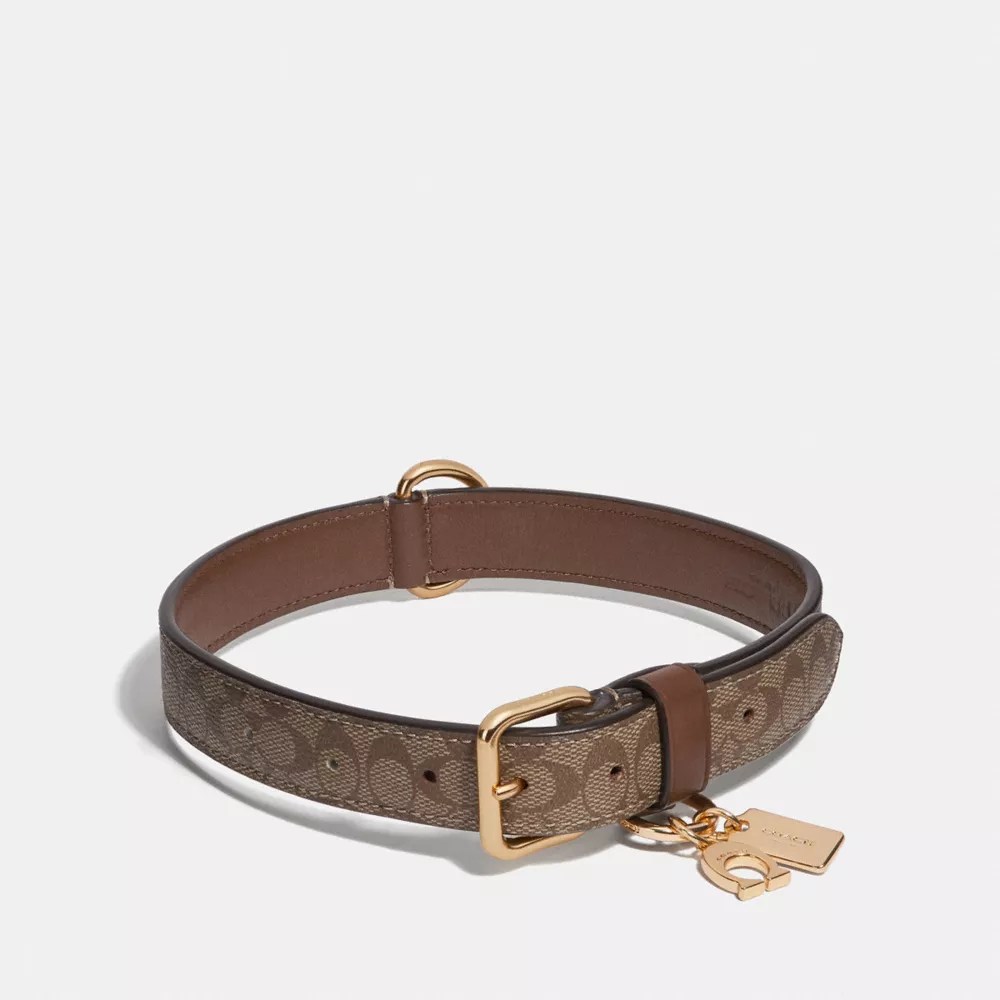COACH® Outlet Large Pet Collar In Signature Crossgrain Leather