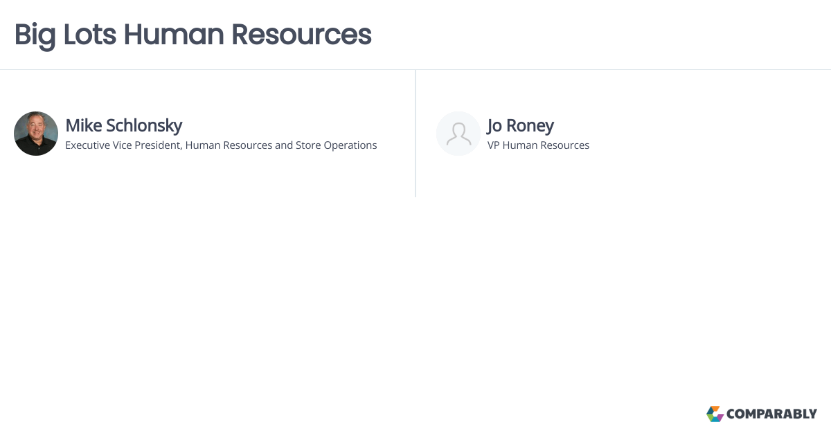Big Lots Human Resources Comparably