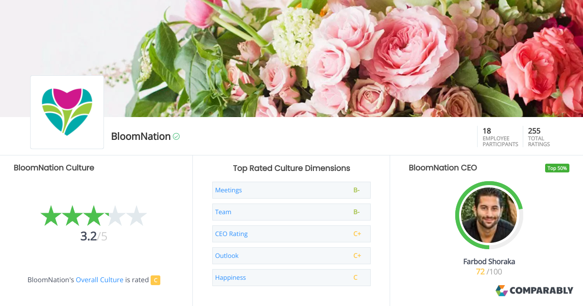 BloomNation Culture Comparably