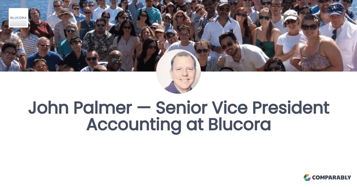 John Palmer — Senior Vice President Accounting at Blucora Comparably
