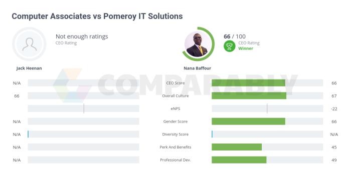 Computer associates ppm