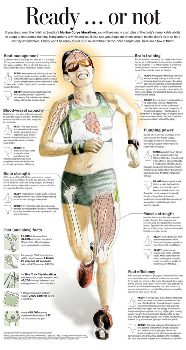 25 Running Infographics For The Everyday Runner Complex