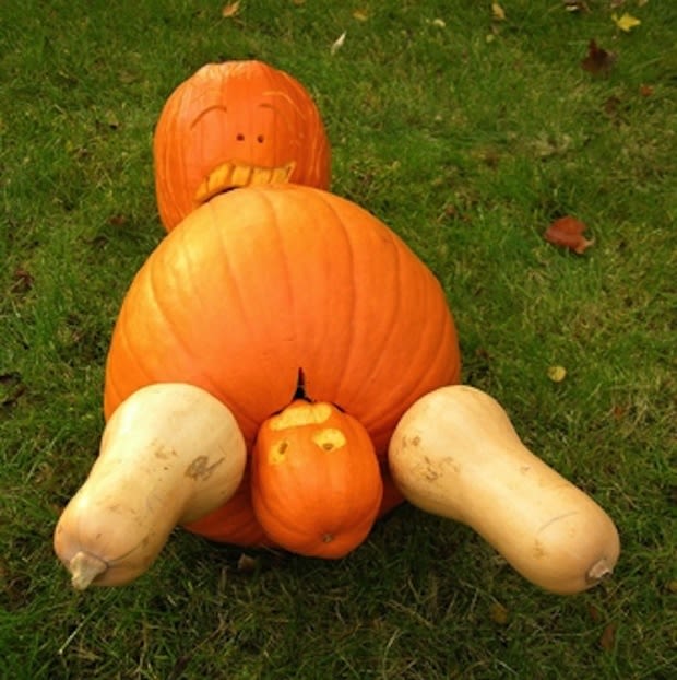 Two Pumpkins 15 Wildly Inappropriate Jacko'Lanterns Complex