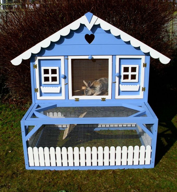 Blue Rabbit Hutch Tabitomo