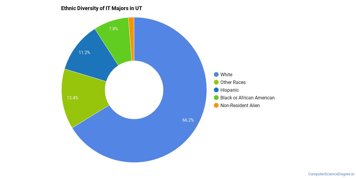 Information Technology Majors in Utah Computer Science