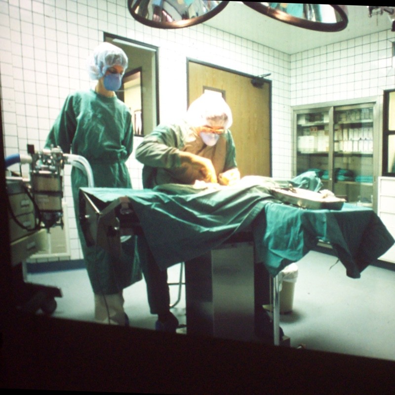 Sarfraz (Saif) Shaikh Email & Phone Number Immigration Advice NZ Ltd