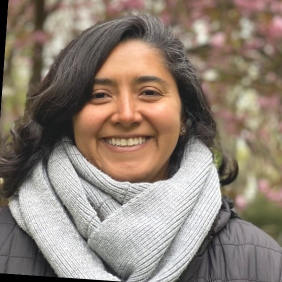 Juliana Pineda Email Phone Number Community Insights Group Contactout