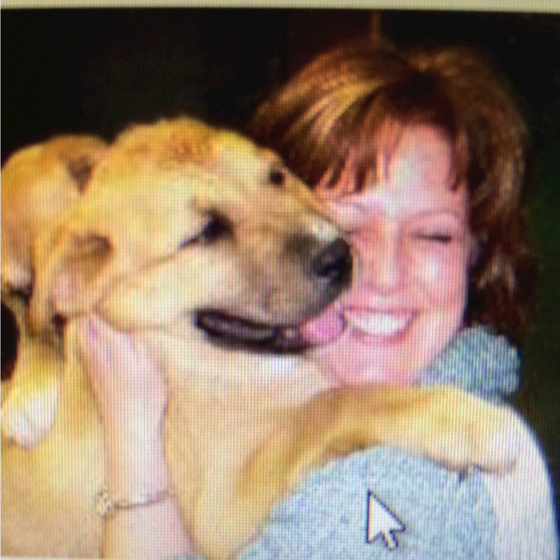 Jean Berg Email & Phone Number REVOV Batteries (Pty) Ltd ContactOut