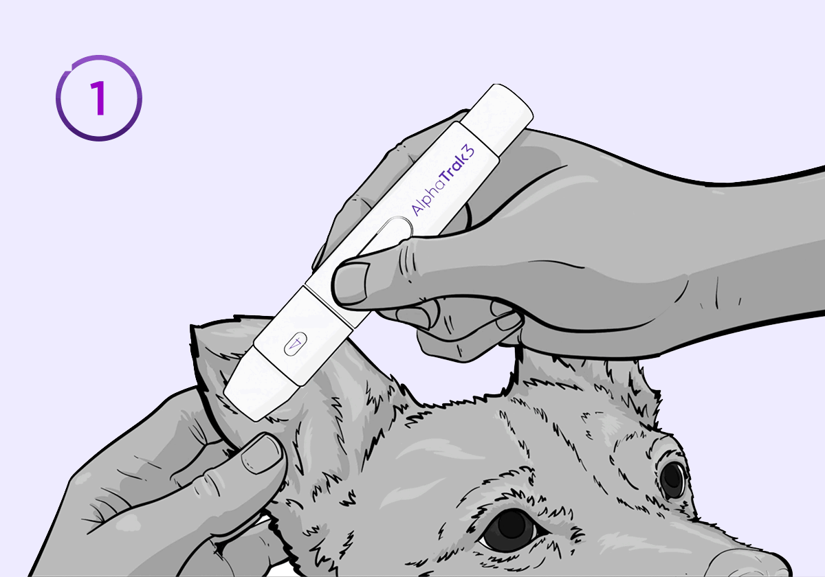 How AlphaTrak Works | Zoetis Petcare