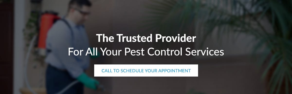 Pest Control & Extermination Services in NJ, PA, DE & MD