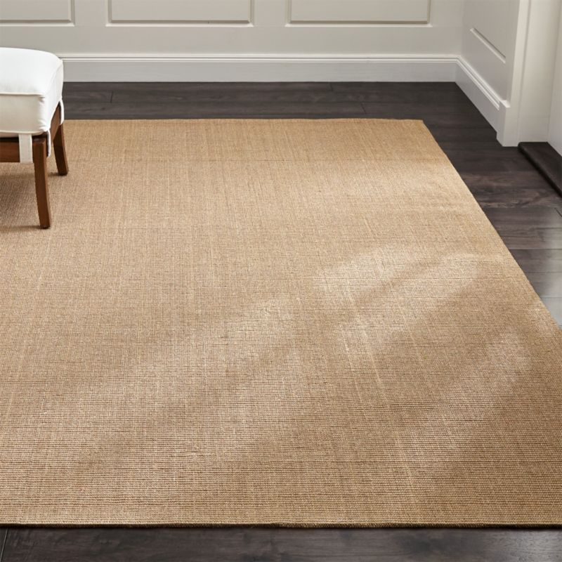 Sisal Almond Rug | Crate and Barrel (800 x 800 Pixel)
