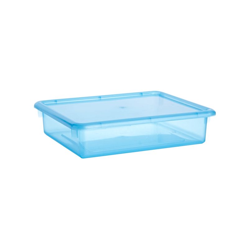 Small Blue Plastic Storage Box + Reviews Crate and Barrel