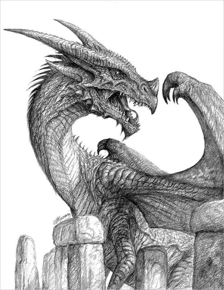 26+ Dragon Pencil Drawing Free Sketch Designs Creative 26+ Dragon Pencil Drawing Free Sketch Designs Creative