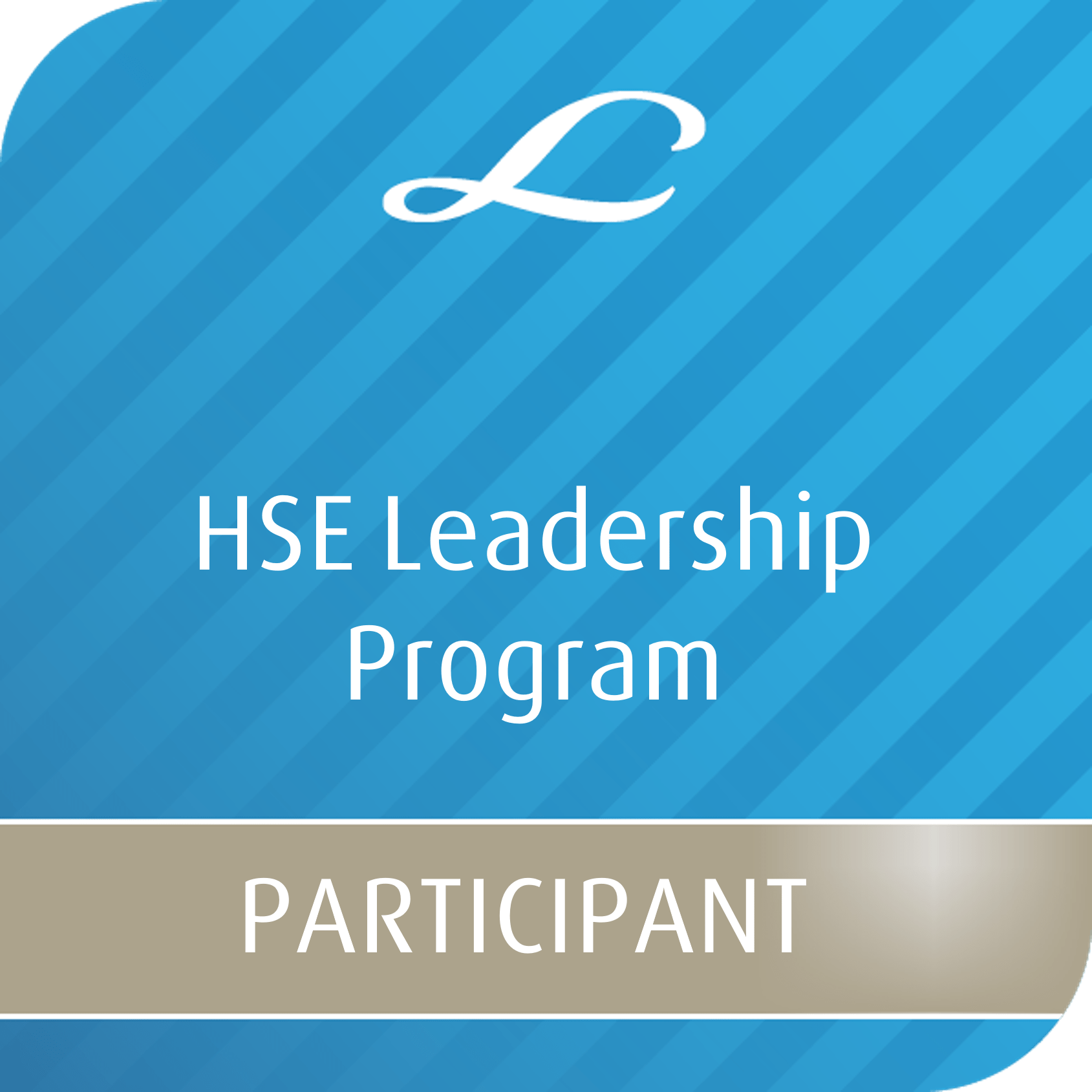 HSE Leadership Program Participant Credly