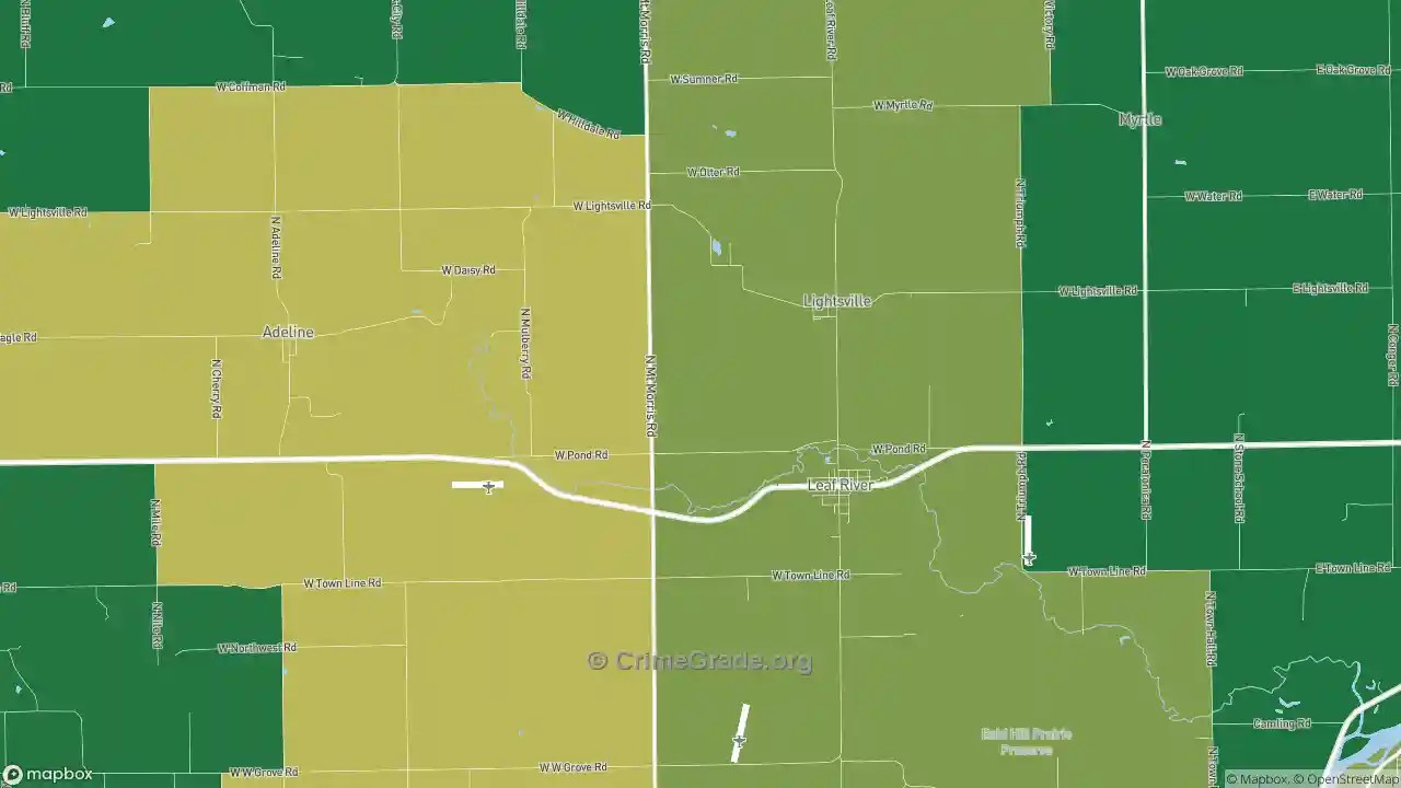 The Safest and Most Dangerous Places in Leaf River, IL Crime Maps and