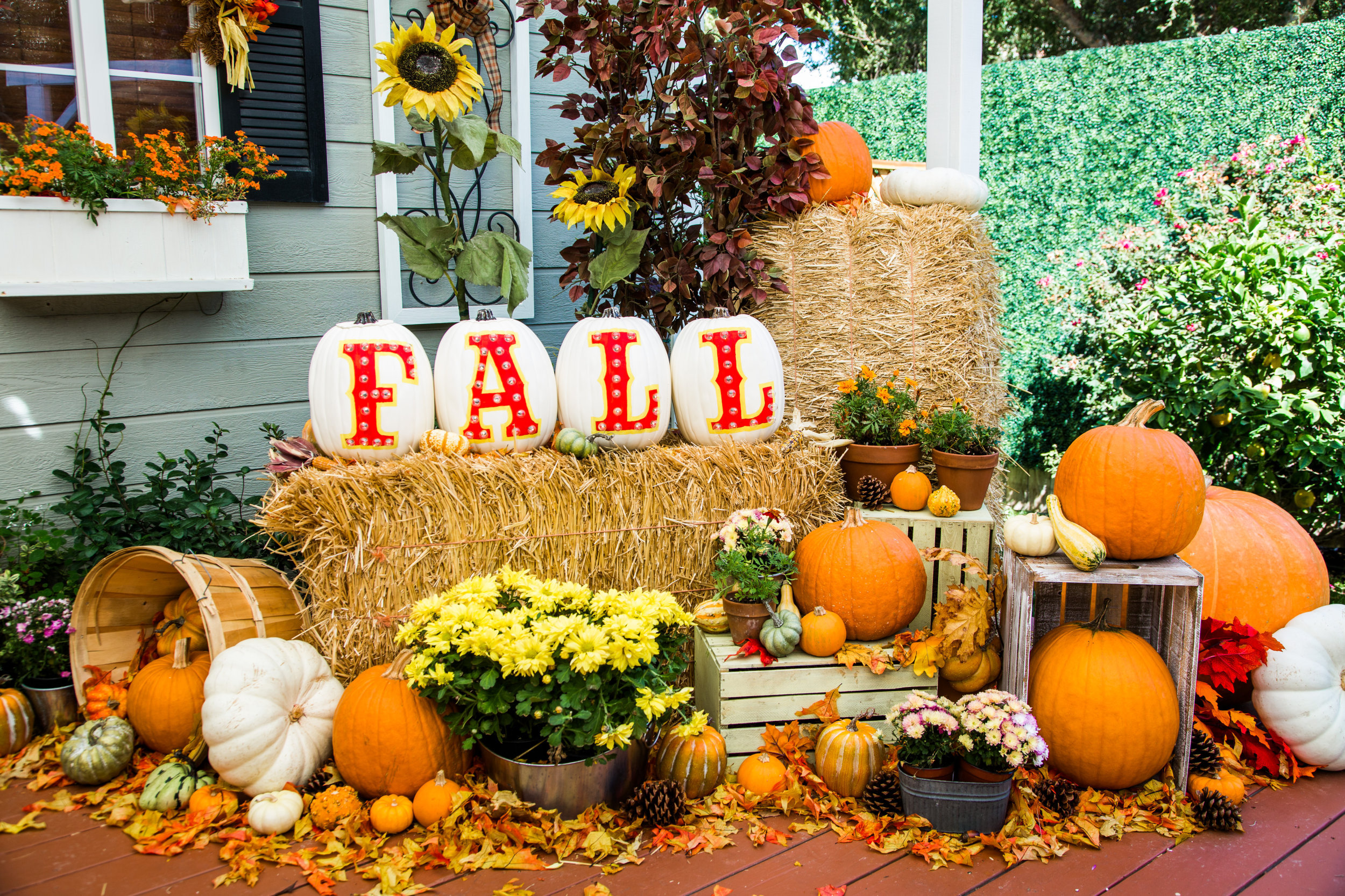 DIY Fall Marquee Pumpkins Home & Family Hallmark Channel