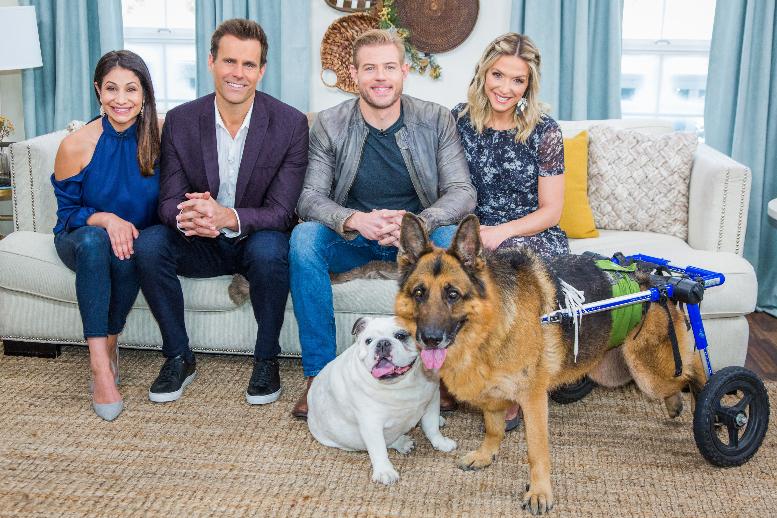 Trevor Donovan and His Dogs Home & Family Video Hallmark Channel