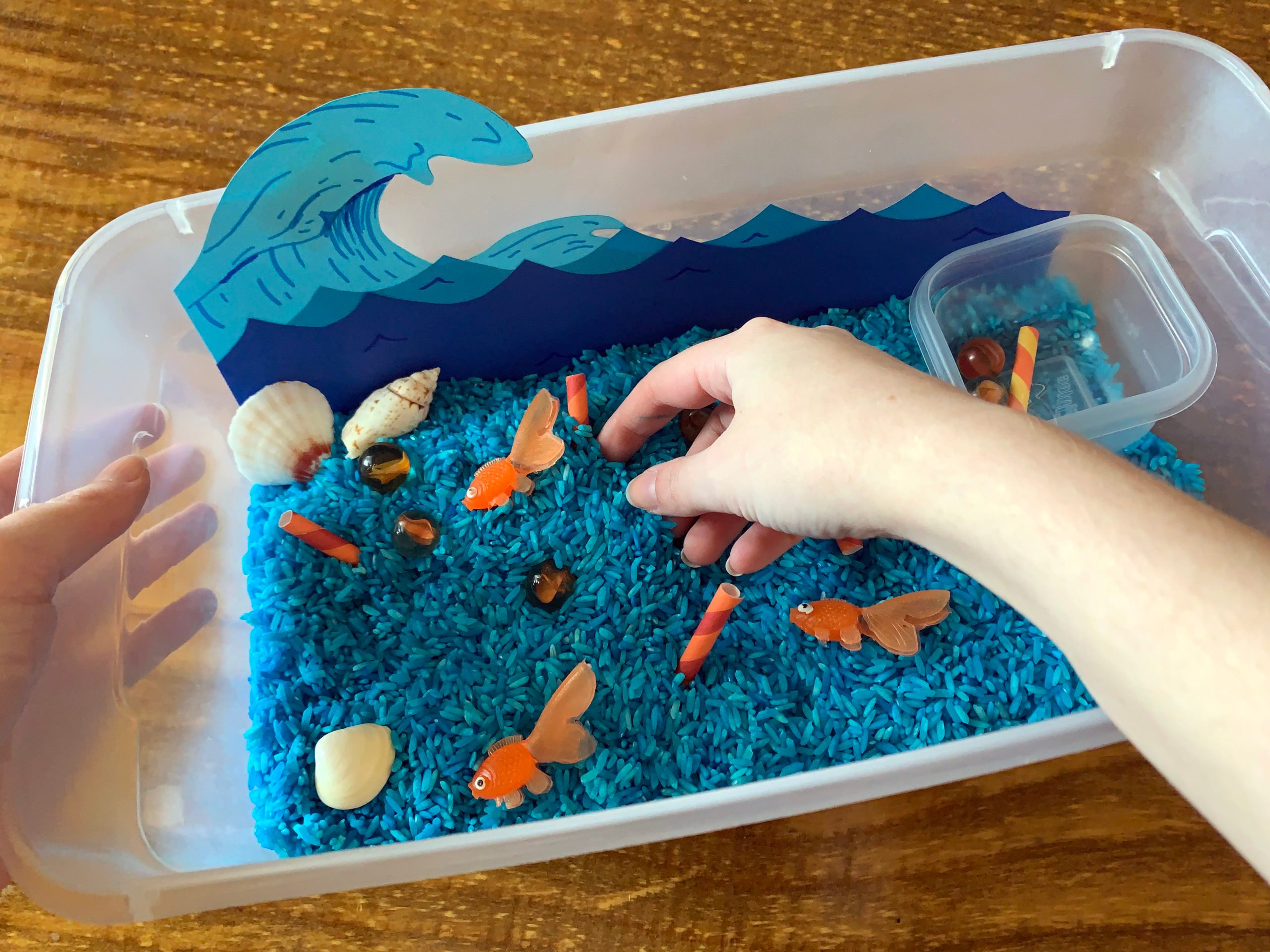 Activity Create an Ocean Cleanup Sensory Bin Crystal Bridges Museum