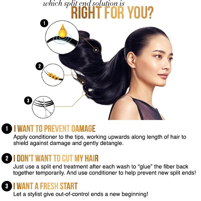 Update 81+ hair remedies for split ends in.eteachers